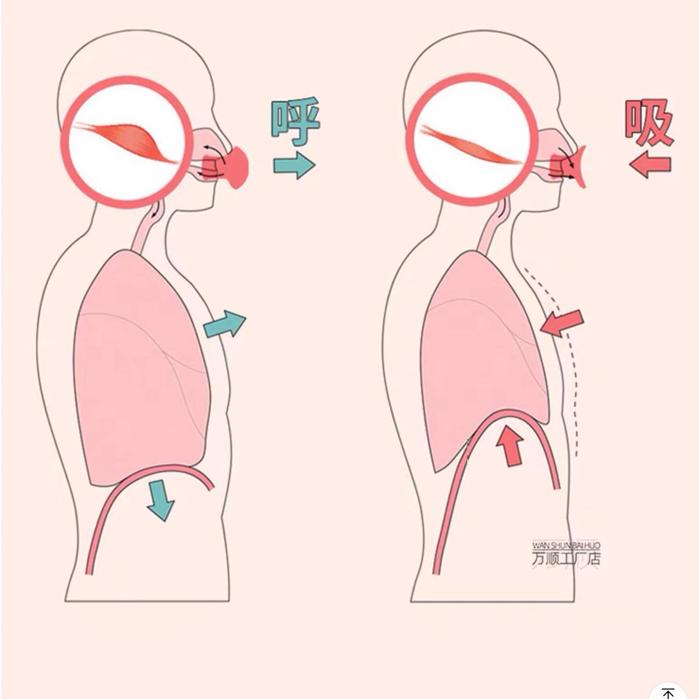 ✨PREORDER✨ Law lines eliminate face-lifting artifact lifting and tightening to remove double chin V-face facial trainer for women and men