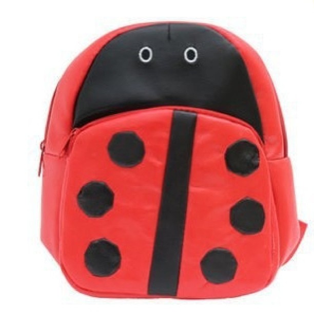 Kids ladybug school bag is available