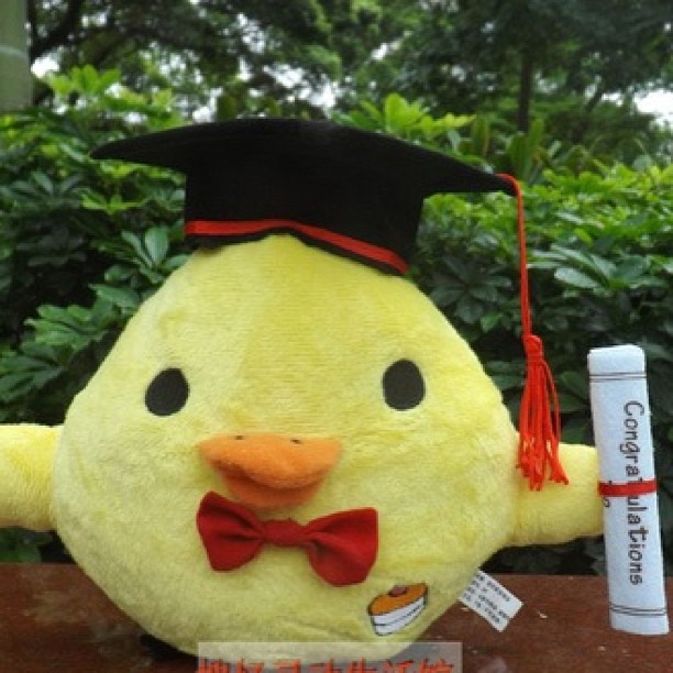 Cute graduation doll 20cm
